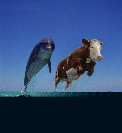 moi aussi dans la plage!!